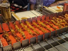 -邢氏老太太烤串(北兴街店)