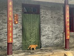 -晋祠公园