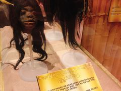 -信不信由你博物馆