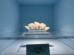 -温州博物馆