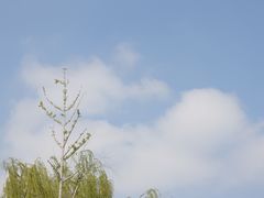 -上方山森林动物世界