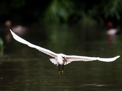 -Sony Store索尼(广州正佳店)