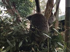 -费瑟代尔野生动物园