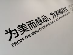 门面-罗红摄影艺术馆