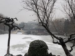 -莲池书院博物馆