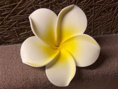-厘舍SPA(月湖公园店)