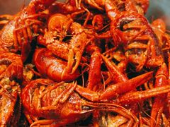 -老梅园大虾城(八一桥店)