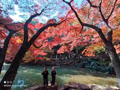 -虞山风景区