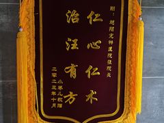 -美联众合宠物医院·爱萌分院·内外科·猫科中心