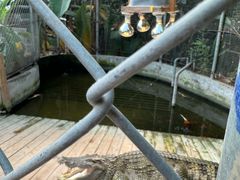 -呀路古热带植物园