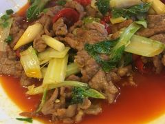 -曾牛肉