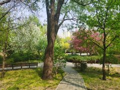 -北极寺公园