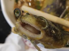 -胖师鱼馆非遗砂锅雅鱼(大北街店)