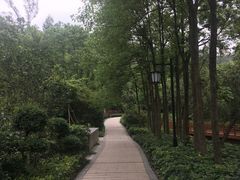 -石溪公园