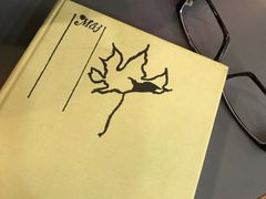 -谢列梅捷沃国际机场