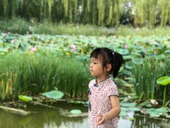 -丰台科技园生态主题公园