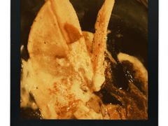 -Ocean's Table 欧舍