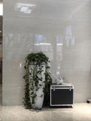-痘院士专业祛痘皮肤管理