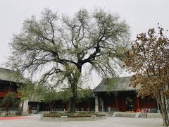 -宣南文化博物馆