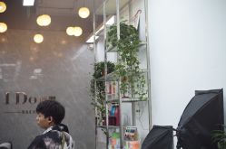点击看大图 -YDO SALON