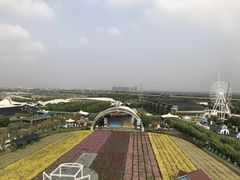 -百万葵园