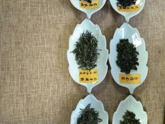 -养心斋涵信茶艺茶道培训