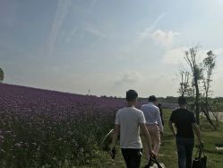 -青禾蒙娜丽莎婚纱摄影(武汉总店)