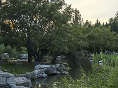 -大望京公园