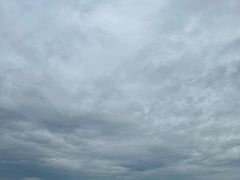 -贡湖湾湿地公园