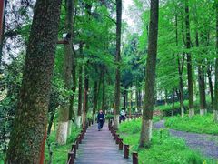 -莫干山风景区