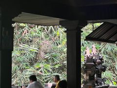 -Warung Babi Guling Ibu Oka 3