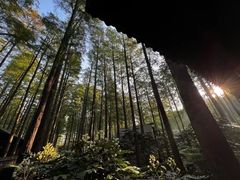 -泗洪洪泽湖湿地景区