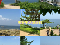 -养马岛旅游度假区