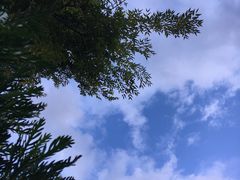 -浔岚云舍mist静谧观景美宿(丽江古城店)