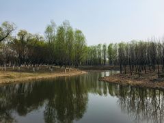 -东郊湿地公园