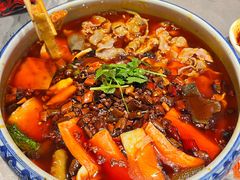 -红辣椒·川菜·火锅(张杨路店)