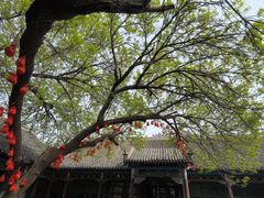 -张学良旧居陈列馆