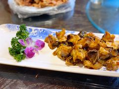 芥末海螺-津沽小院(天津之眼店)