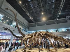 -自贡恐龙博物馆