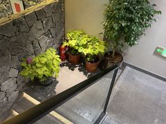 -杏花村水席楼·洛阳水席(老城十字街店)