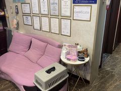 -宠爱国际动物医院·疑难骨科·心肾内科·皮肤科(太阳宫店)