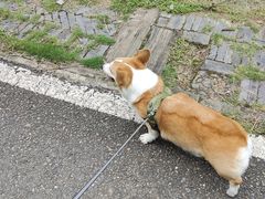 -白鹭湾湿地公园