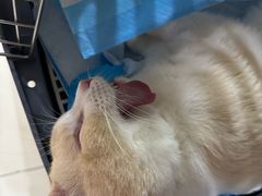 -美迦爱-牙专科·兔科·骨科诊疗中心(北苑店)