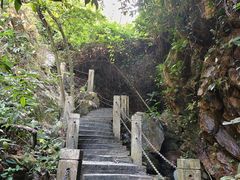 -水濂山森林公园