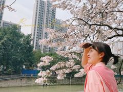 -红星桥(地铁站)