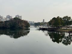 -新江湾城公园