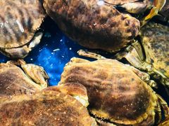 -盒马鲜生(莱蒙都会店)