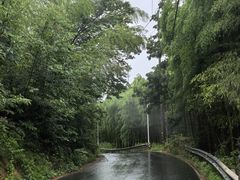 -藏龙百瀑风景区