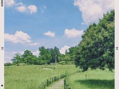 -红花山公园