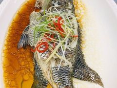 -外滩1288花园丽舍